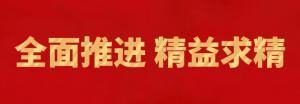 履踐致遠向未來(lái) | 洛陽(yáng)正大精英特訓營(yíng)“磐石計劃”精益生產(chǎn)項目召開(kāi)復盤(pán)追蹤會(huì )